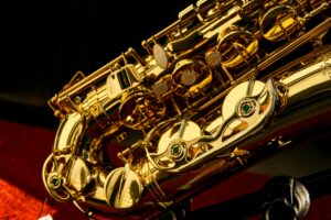 pexels caique araujo 101156227 28653607